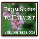 2011 From Seeds to Harvest Gardening Challenge