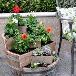From Seeds to Harvest Gardening Challenge