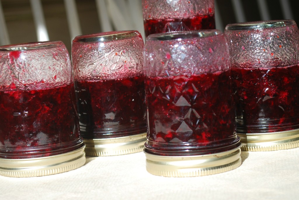 blueberry jam 2