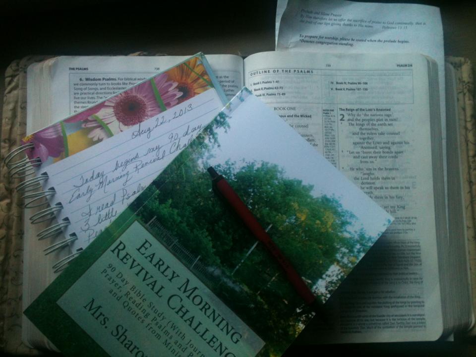 564475_10151641698525958_1562215404_n