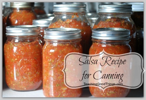 salsa recipe canning